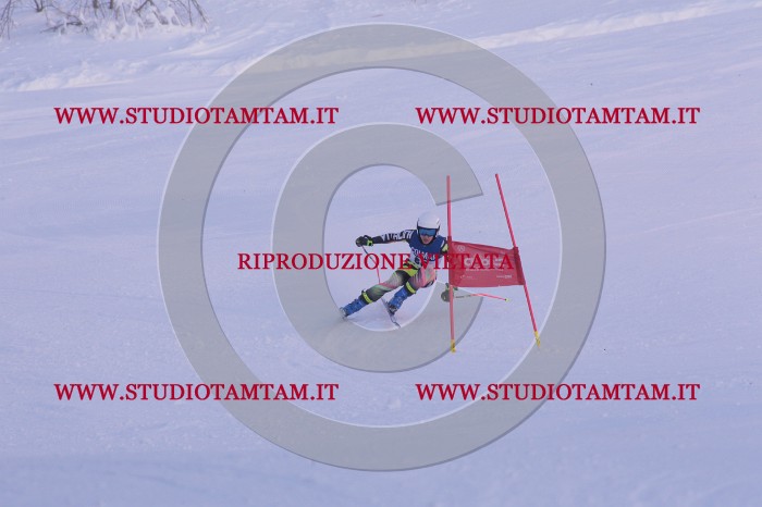 MAT_0713.JPG