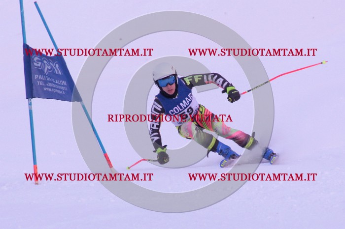 MAT_0719.jpg