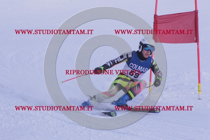 MAT_0726.JPG