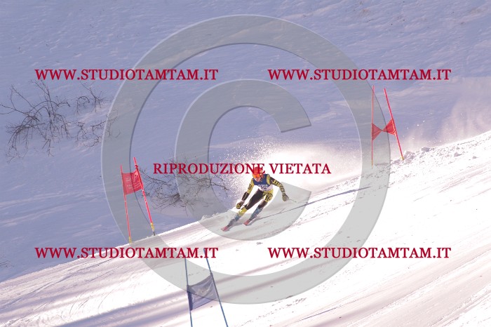 MAT_0731.JPG
