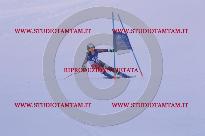 MAT_0763.JPG
