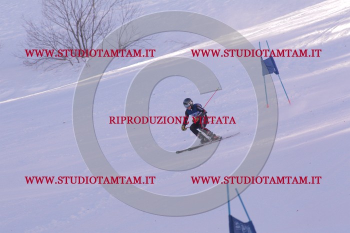 MAT_0782.JPG