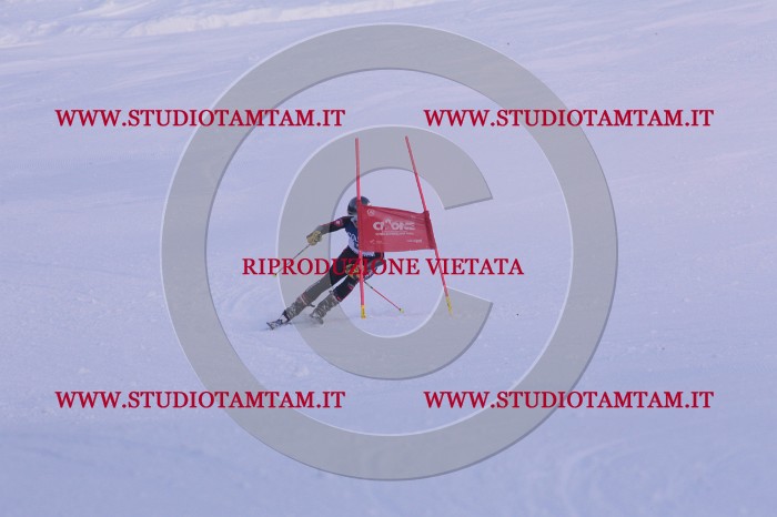 MAT_0783.JPG