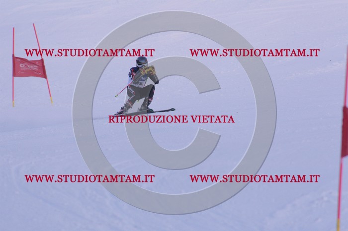 MAT_0786.JPG