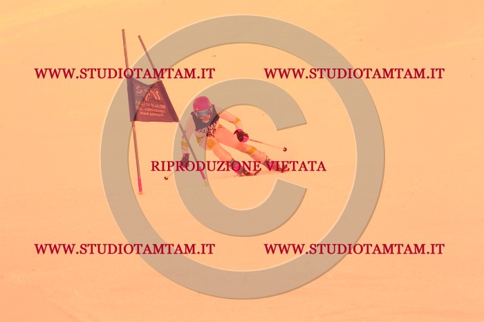 MAT_0810.JPG