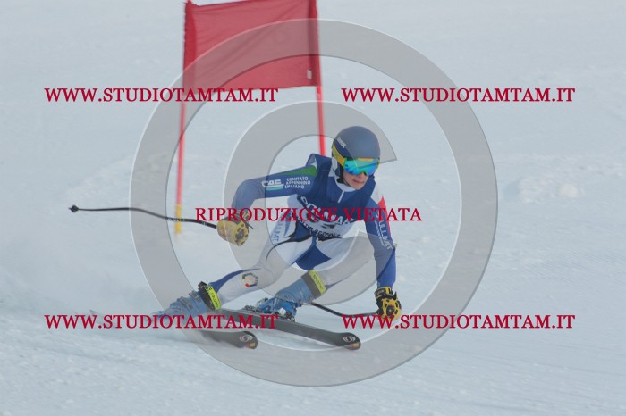 MAT_0895.JPG