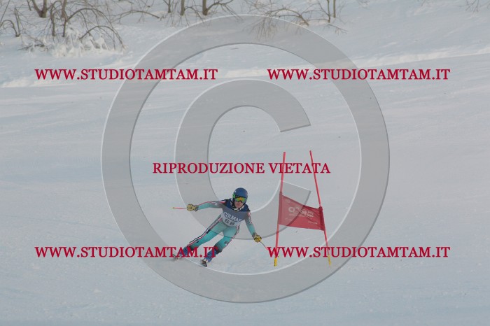 MAT_0907.JPG