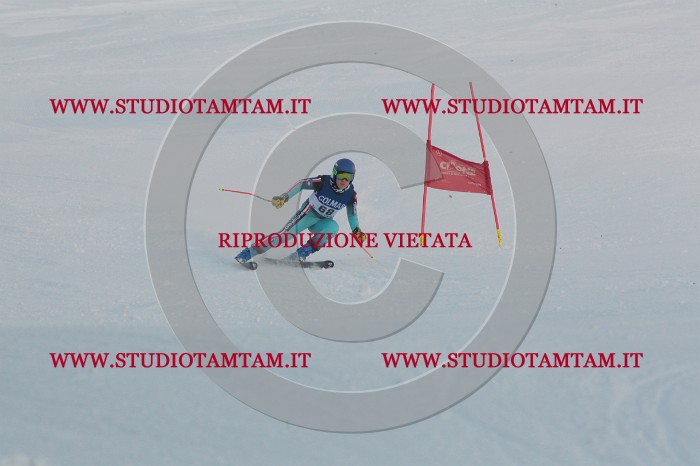 MAT_0908.JPG