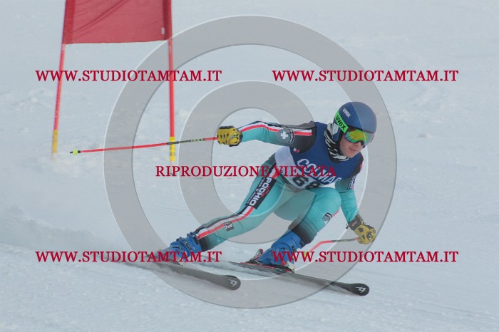 MAT_0918.JPG