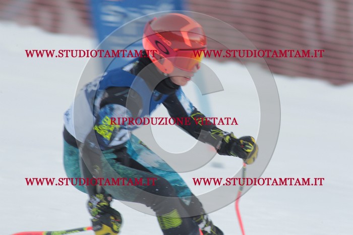 MAT_0959.JPG