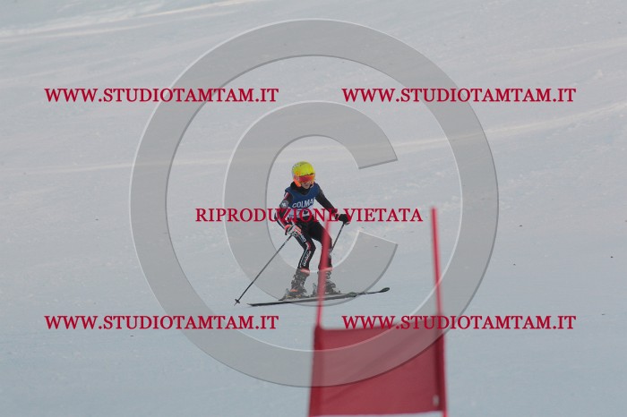 MAT_1064.JPG