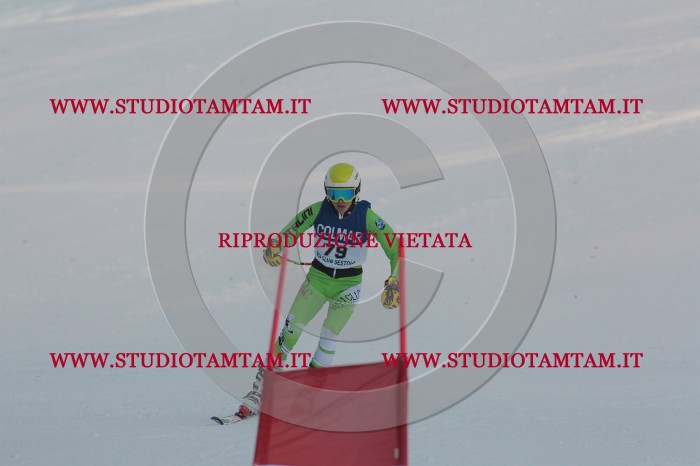 MAT_1134.JPG