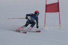 MAT_0101