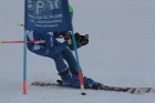 MAT_0176