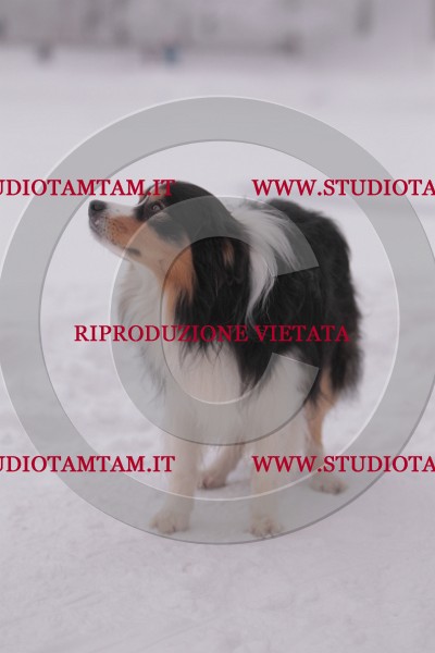 MAT_7298.JPG