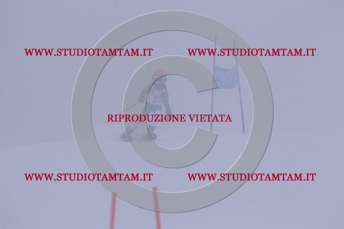 MAT_6363.JPG