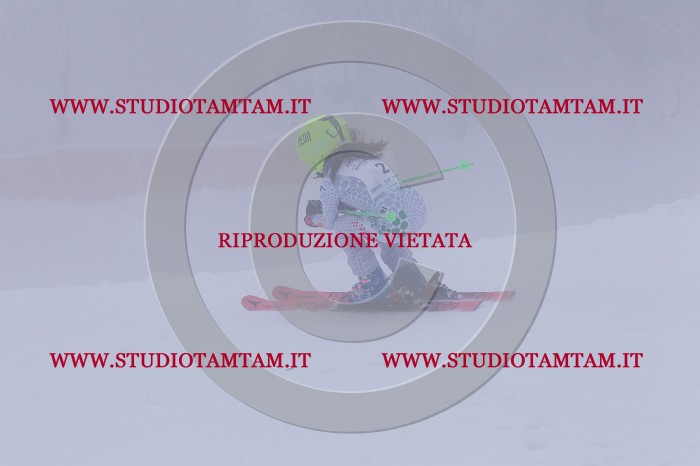 MAT_6375.JPG