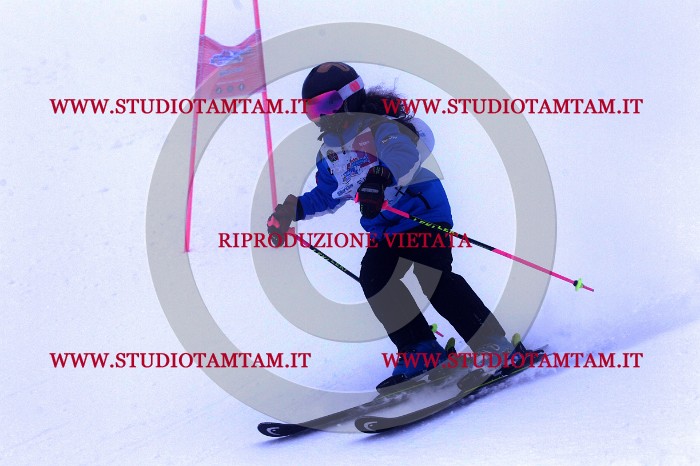 MAT_6385.jpg