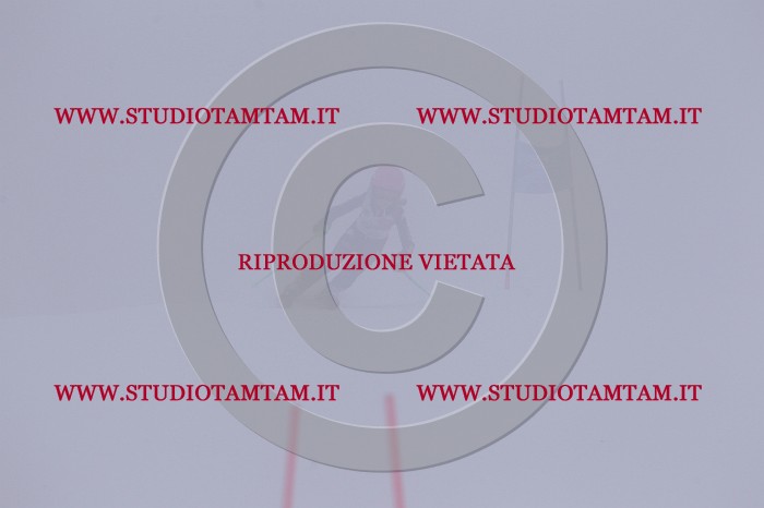 MAT_6404.JPG
