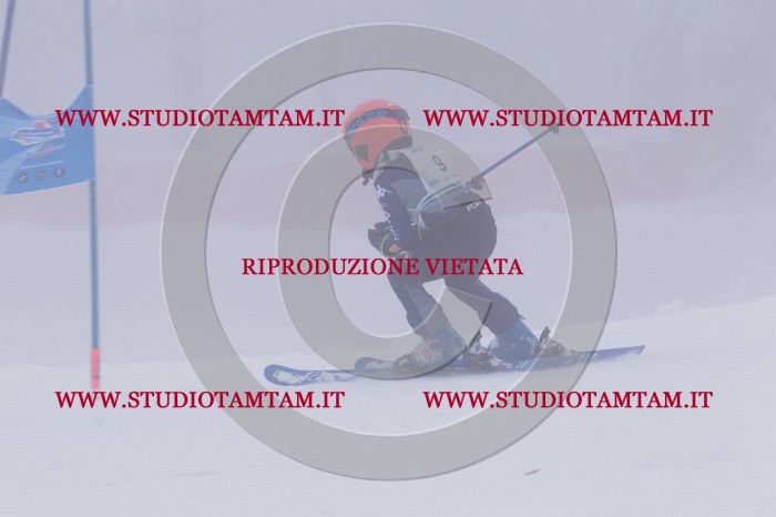 MAT_6423.JPG