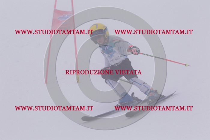 MAT_6442.JPG