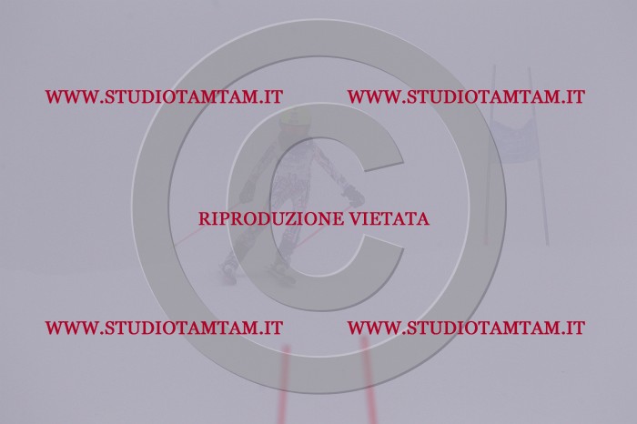 MAT_6447.JPG