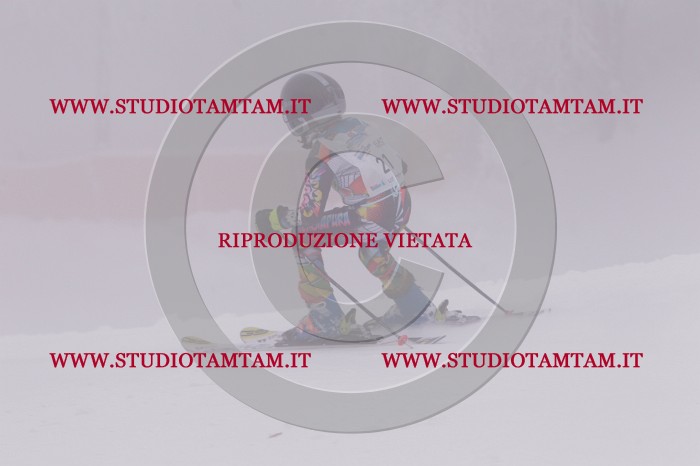MAT_6495.JPG