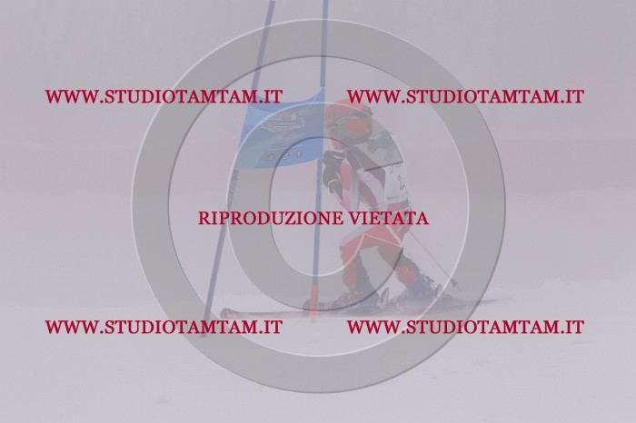 MAT_6503.JPG