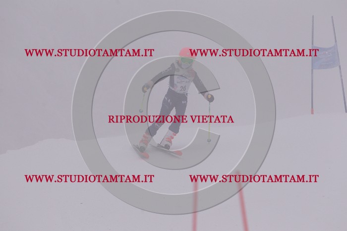 MAT_6533.JPG