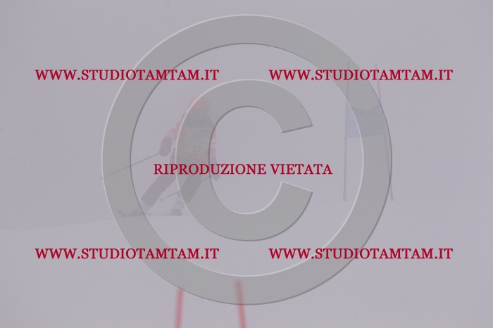 MAT_6541.JPG