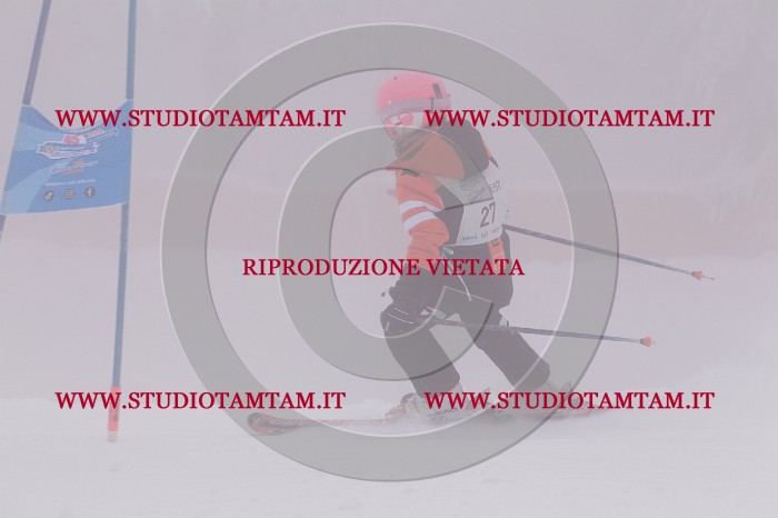 MAT_6546.JPG