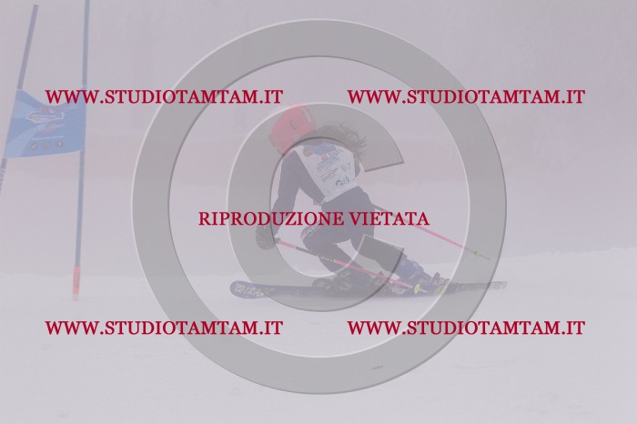 MAT_6553.JPG