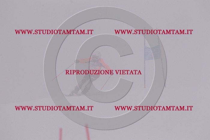 MAT_6555.JPG