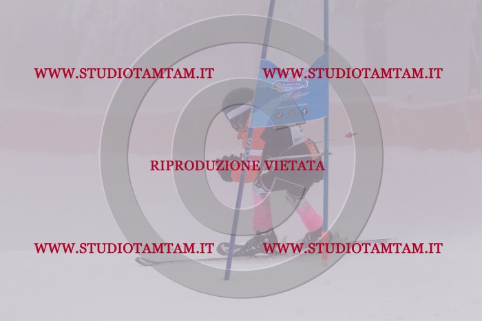 MAT_6571.JPG