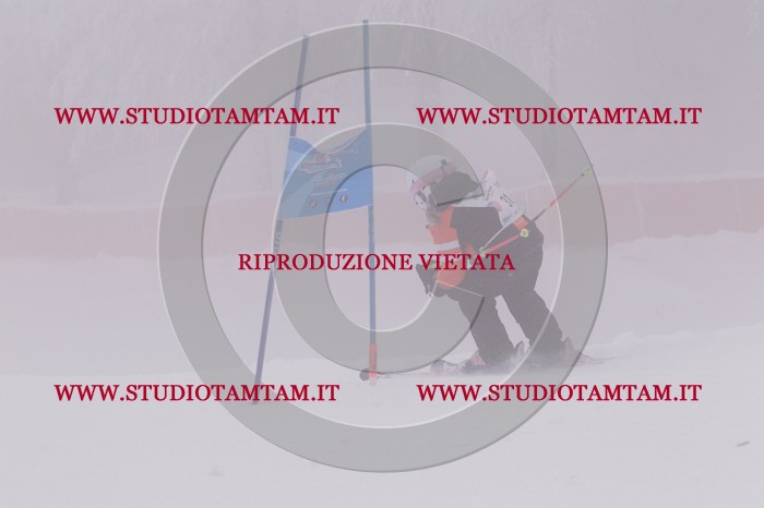 MAT_6578.JPG