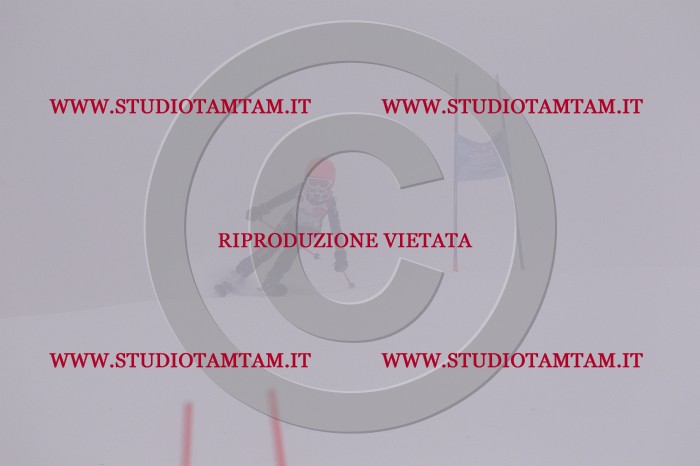 MAT_6579.JPG