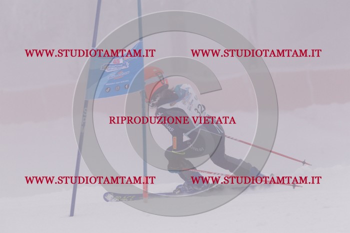 MAT_6586.JPG