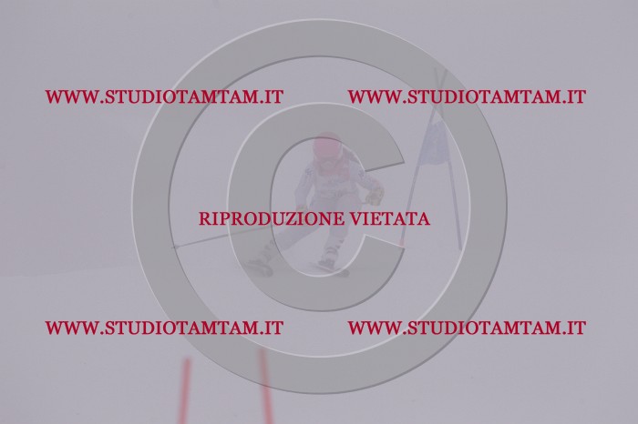 MAT_6595.JPG