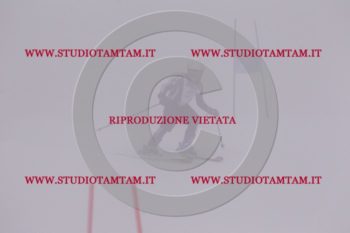 MAT_6645.JPG