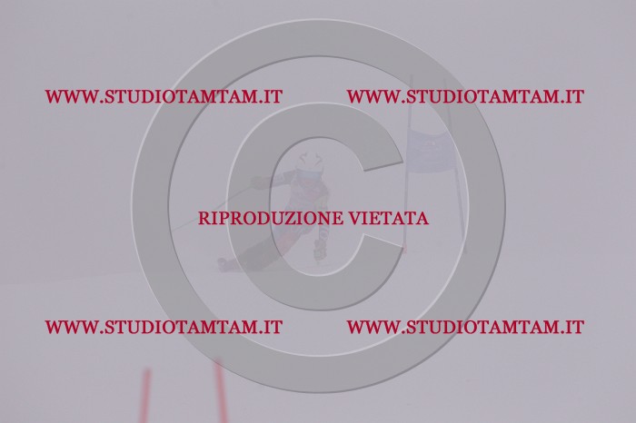 MAT_6653.JPG