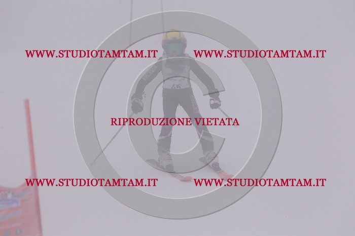 MAT_6677.JPG