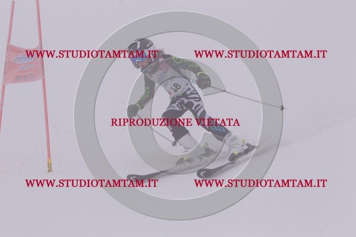MAT_6712.JPG