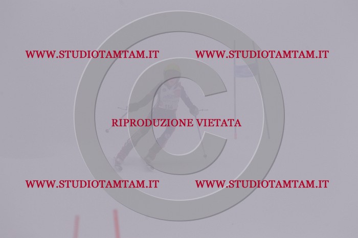 MAT_7130.JPG