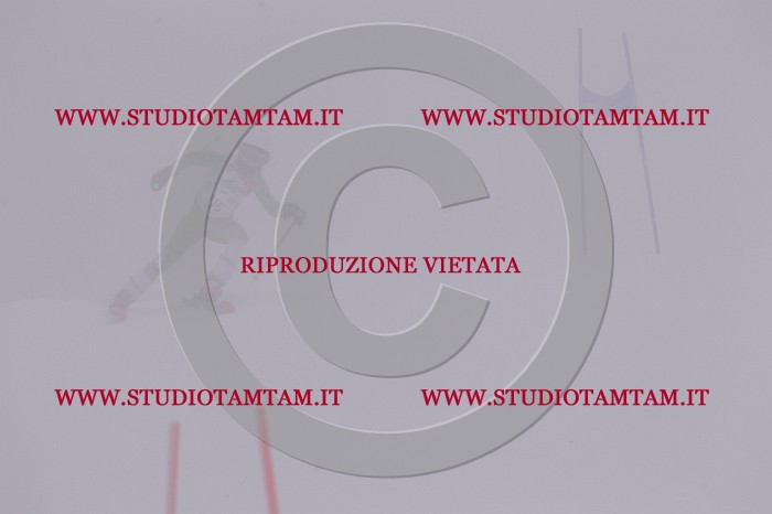 MAT_7142.JPG