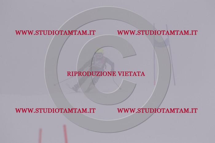 MAT_7151.JPG