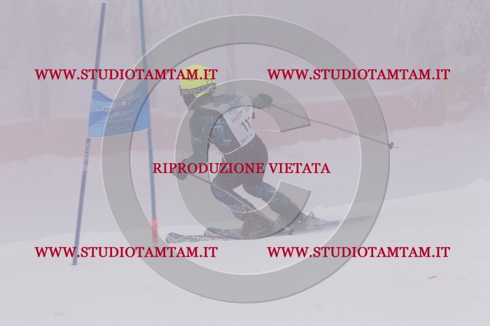 MAT_7156.JPG