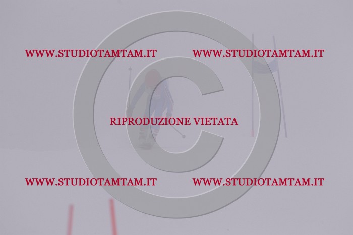 MAT_7183.JPG