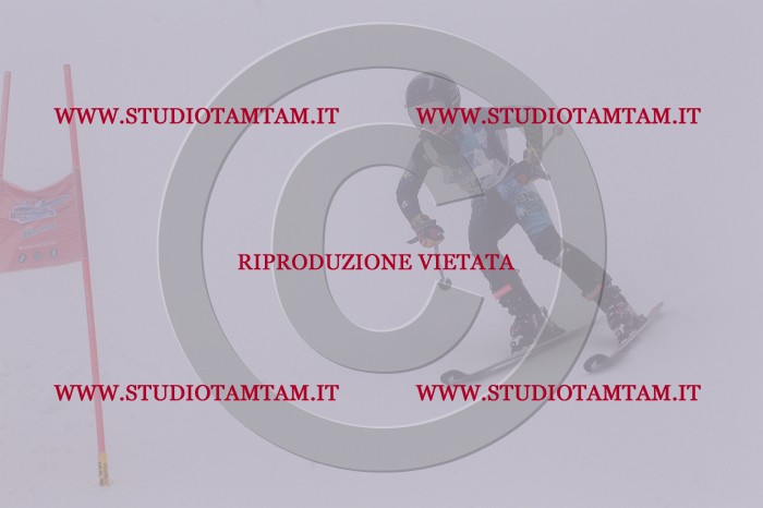 MAT_7198.JPG