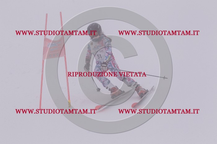 MAT_6736.JPG