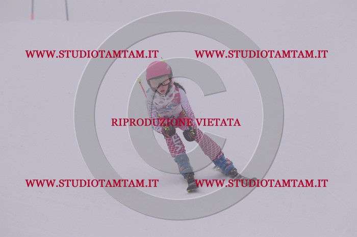 MAT_6754.JPG